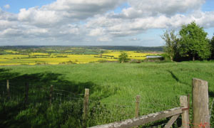  View Across Shirley Moor with Woodchurch in the far distance